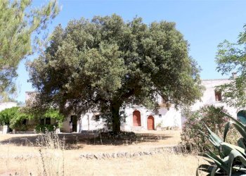 Locale Commerciale Contrada Casellone, Crispiano - foto 11