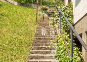 Casa indipendente Lama Mocogno - foto 34