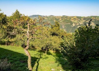 Terratetto - Terracielo Montefiorino - foto 25