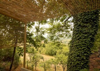 Terratetto - Terracielo Frassinoro - foto 33