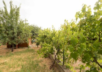 Terratetto - Terracielo Montefiorino - foto 28