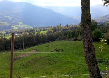 Terreno edificabile Montefiorino - foto 5