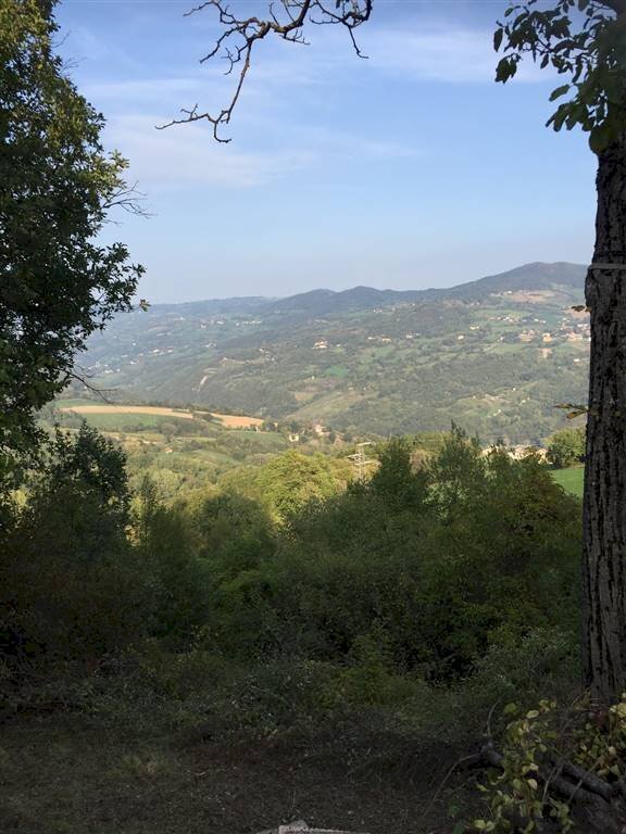 Rustico Montefiorino - foto 3