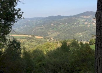 Rustico Montefiorino - foto 3