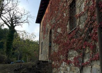 Rustico Montefiorino - foto 5