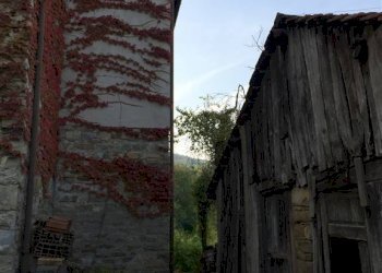 Rustico Montefiorino - foto 6