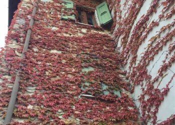 Rustico Montefiorino - foto 7