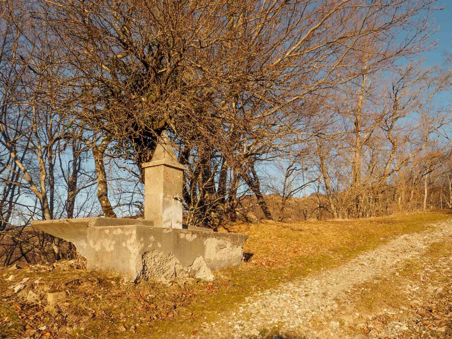 Rustico Frassinoro - foto 2