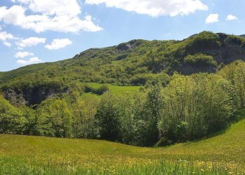 Rustico Frassinoro - foto 14