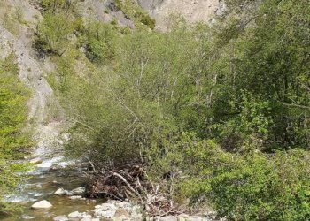 Rustico Frassinoro - foto 16
