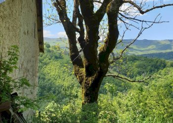 Rustico Frassinoro - foto 18