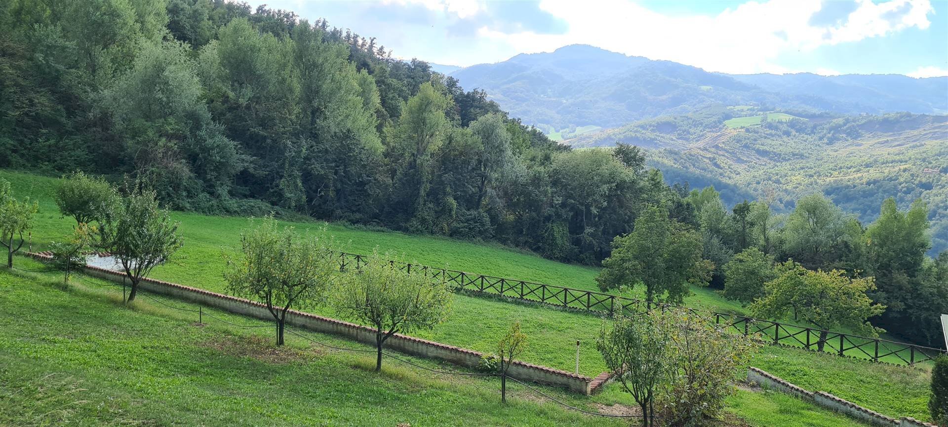 Casa indipendente Polinago - foto 3