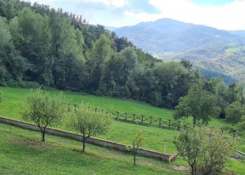 Independent house Polinago - photo 3