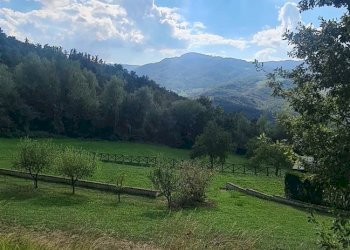 Independent house Polinago - photo 17