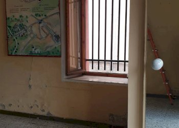 Negozio Frassinoro - foto 7