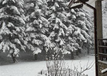 Villa Sestola - foto 6