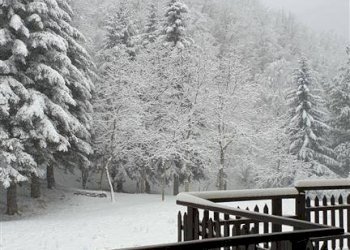 Villa Sestola - foto 7