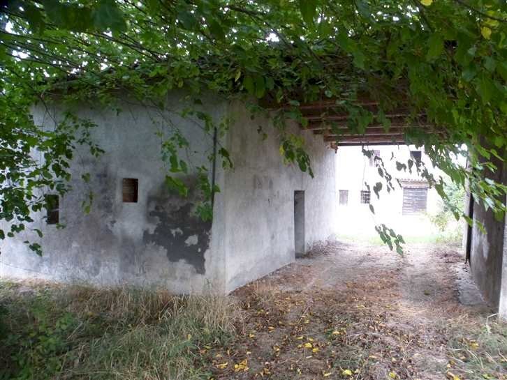 Casa indipendente Castelvetro di Modena - foto 3