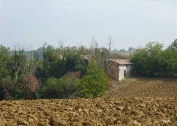 Casa indipendente Castelvetro di Modena - foto 1