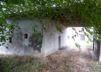 Casa indipendente Castelvetro di Modena - foto 3