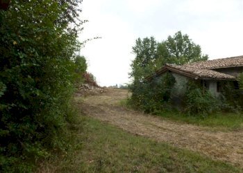 Casa indipendente Castelvetro di Modena - foto 10
