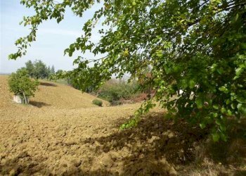 Casa indipendente Castelvetro di Modena - foto 12