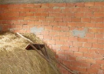 Rustico Montefiorino - foto 10