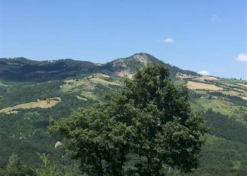 Rustico Fanano - foto 2