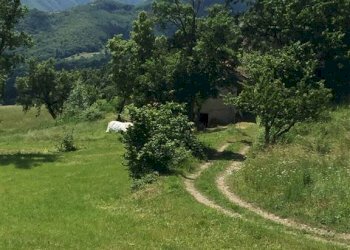 Rustico Fanano - foto 3