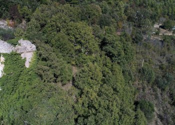 Rustico Forca di Cerro, Spoleto - foto 12