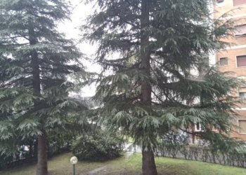 esterni - Bilocale via Filippo Turati, 23, Cerro Maggiore - foto 25