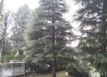 esterni - Bilocale via Filippo Turati, 23, Cerro Maggiore - foto 26