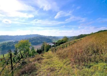 Vista - Rustico Asti - foto 3