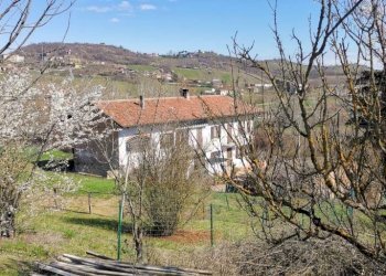 Terreno - Rustic Montegrosso d'Asti - photo 5