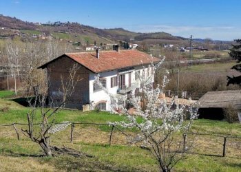Terreno - Rustic Montegrosso d'Asti - photo 33