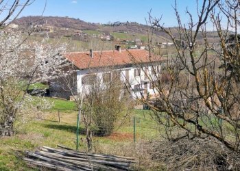 Terreno - Rustic Montegrosso d'Asti - photo 34