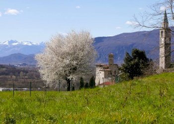 Terreno - Terreno edificabile Artegna - foto 2