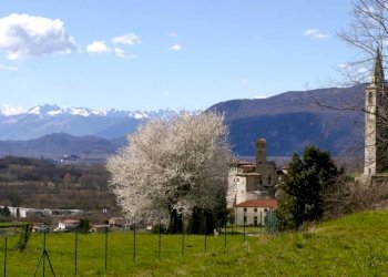 Terreno - Terreno edificabile Artegna - foto 7