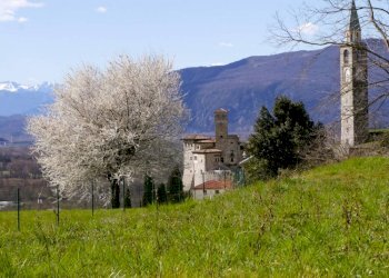 Terreno - Terreno edificabile Artegna - foto 10