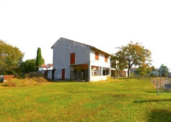 Villa San Daniele del Friuli - foto 8