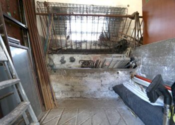 Cantina - Villa San Daniele del Friuli - photo 32