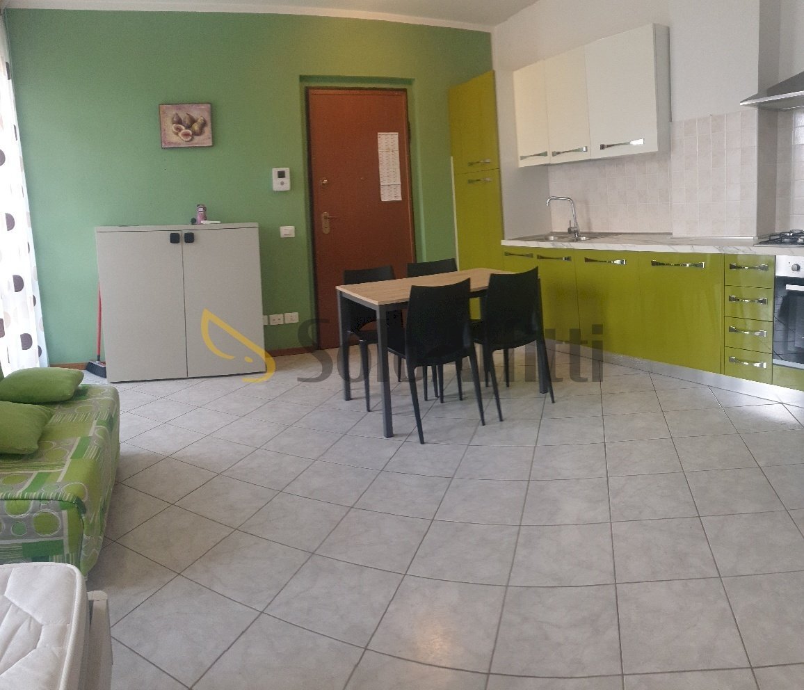 20250726_111234_resized.jpg - One-room apartment Via Puglie 5, Legnago - photo 3