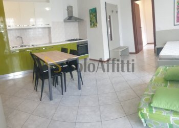 20250726_111221_resized.jpg - One-room apartment Via Puglie 5, Legnago - photo 2