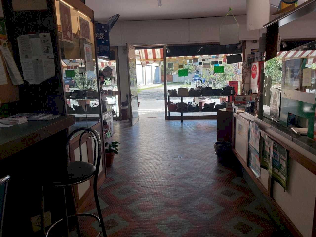 7c508ded-f157-4f76-93b8-5a37b2a352a9.jpg - Bar - Tabacchi - Ricevitoria Via della Pace 24, Castelnuovo Magra - foto 3