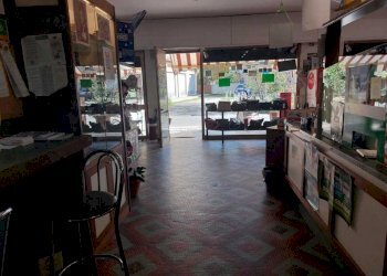 7c508ded-f157-4f76-93b8-5a37b2a352a9.jpg - Bar - Tabacchi - Ricevitoria Via della Pace 24, Castelnuovo Magra - foto 3