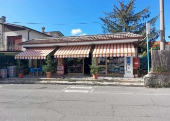 540e210d-d27e-4e63-9327-1dfb25ca0679.jpg - Bar - Tabacchi - Ricevitoria Via della Pace 24, Castelnuovo Magra - foto 4