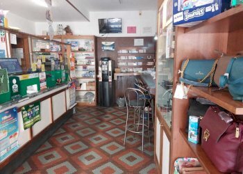 0548a2c1-1fdf-4544-8009-00c401ac30e4.jpg - Bar - Tabacchi - Ricevitoria Via della Pace 24, Castelnuovo Magra - foto 5