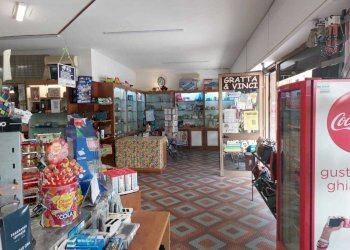 bc8724be-60c6-437e-851f-62576d18f104.jpg - Bar - Tabacchi - Ricevitoria Via della Pace 24, Castelnuovo Magra - foto 7