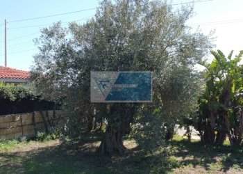 Independent house balata noto, Noto - photo 15