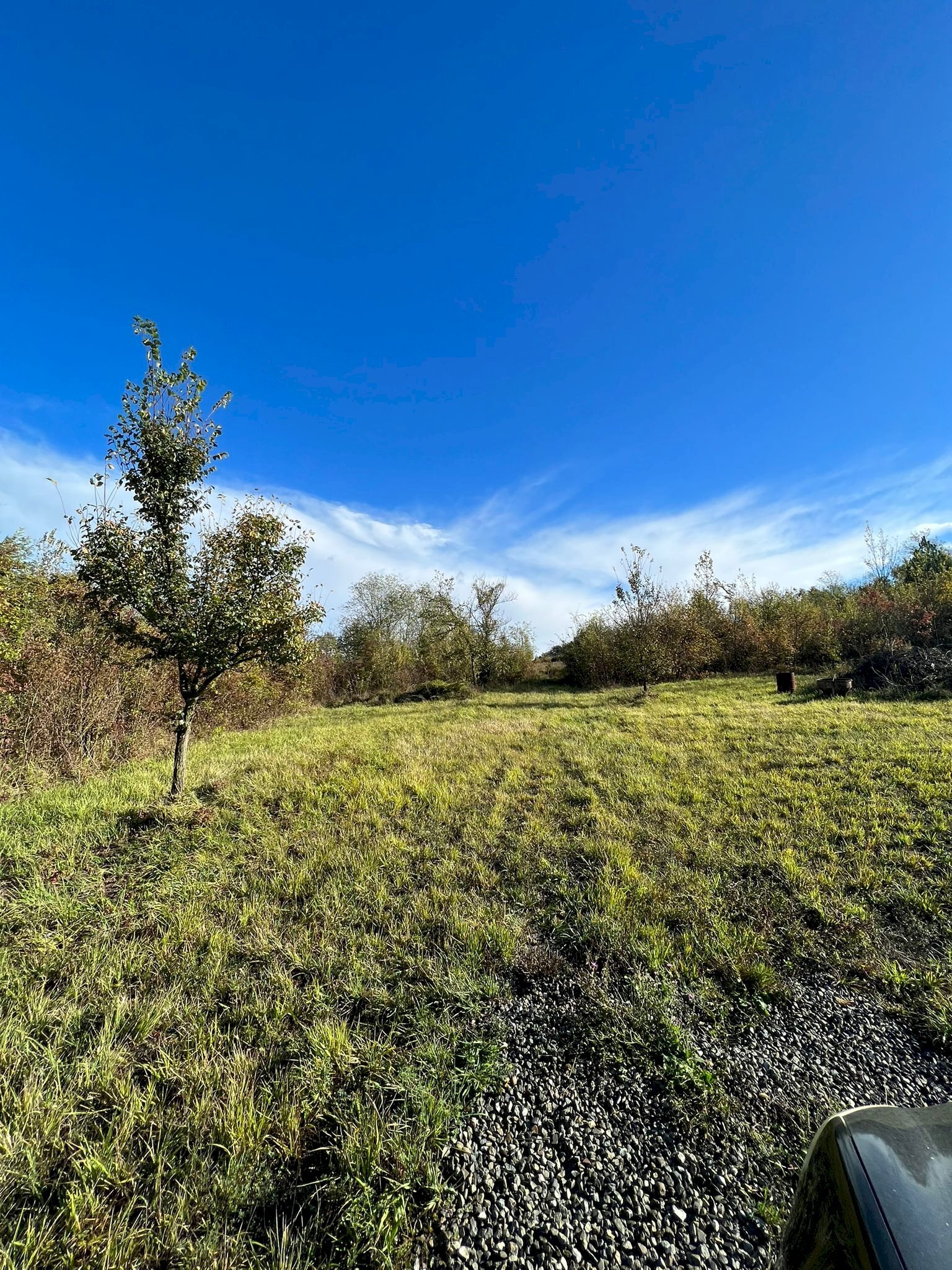 Terreno agricolo via Romagnoli, frazione Calderino, Monte San Pietro - foto 2